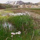 Landmannalaugar - hinter dem Obsidianstrom