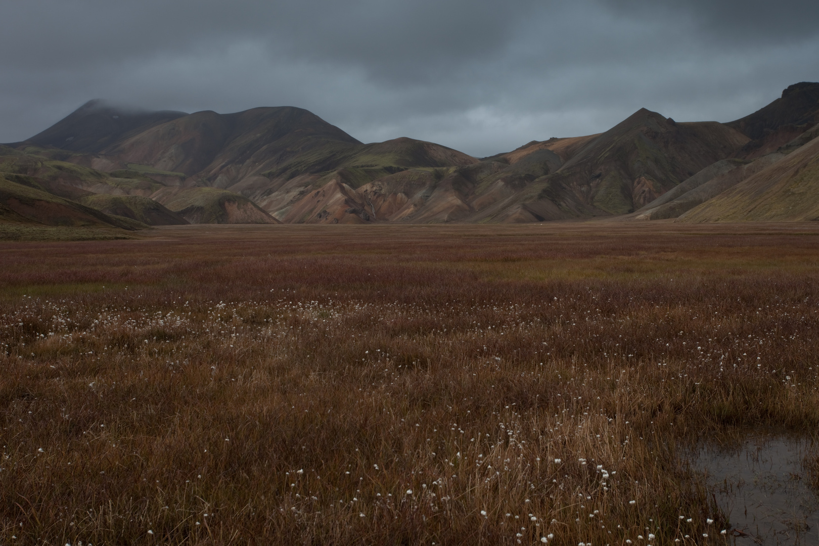 Landmannalaugar I