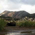 Landmannalaugar Island