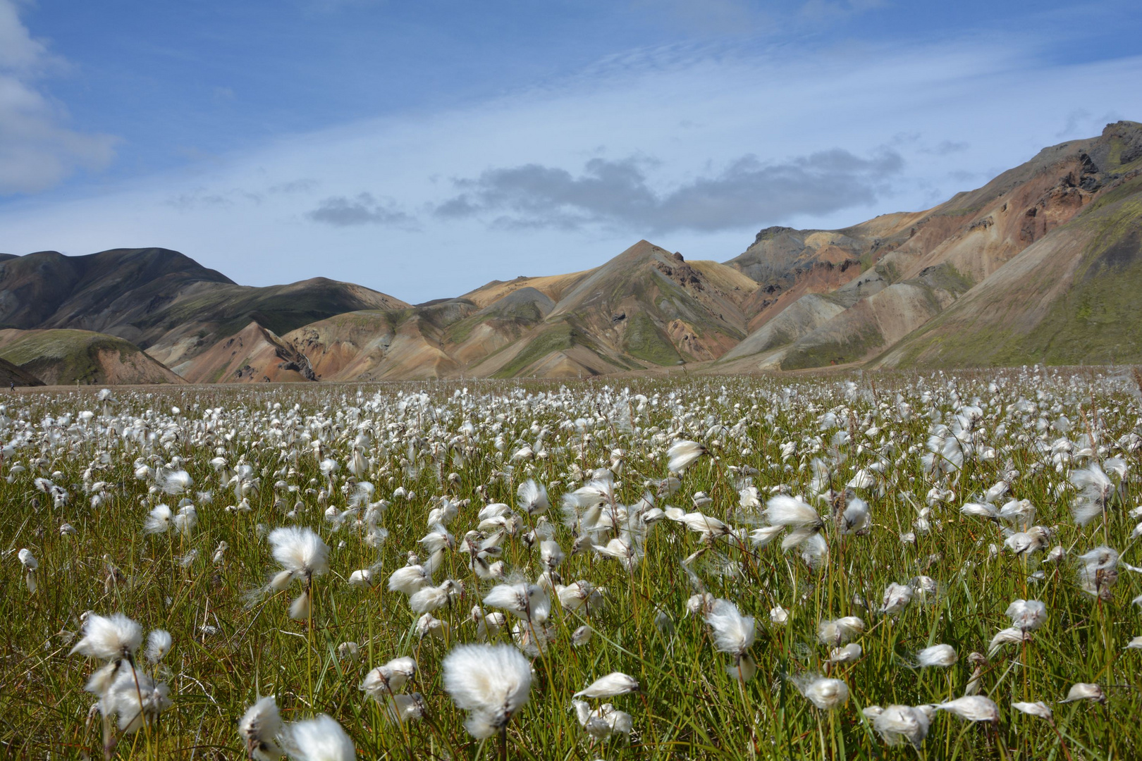 Landmannalaugar - Island