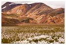 Landmannalaugar (Island) von malrak