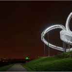 Landmarke Tiger + Turtle