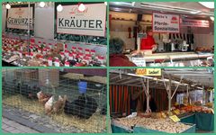 -Landmarkt genannt=Schweinemarkt am 4.März 09-