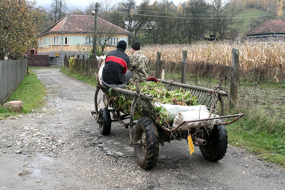 Landpartie (55)