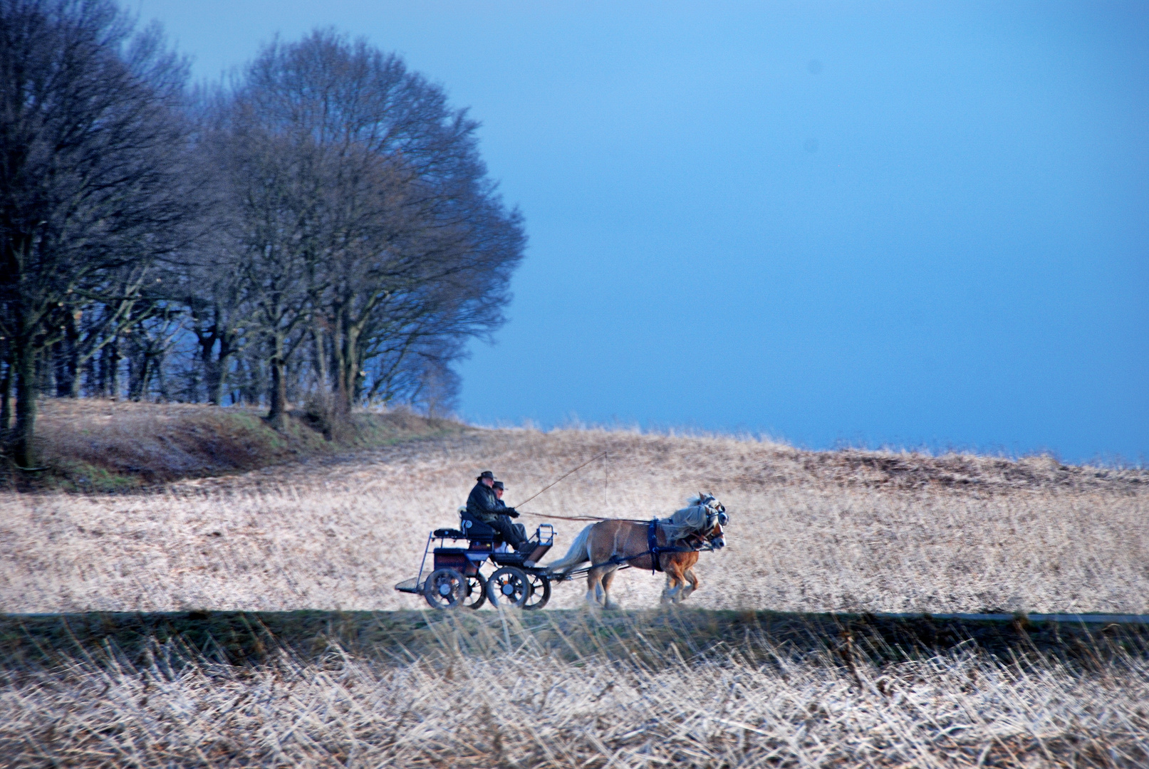 Landpartie am Niederrhein