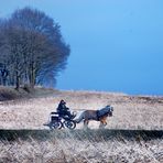 Landpartie am Niederrhein