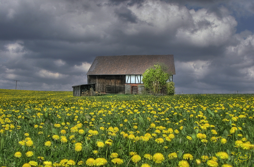 Landregen in Sicht