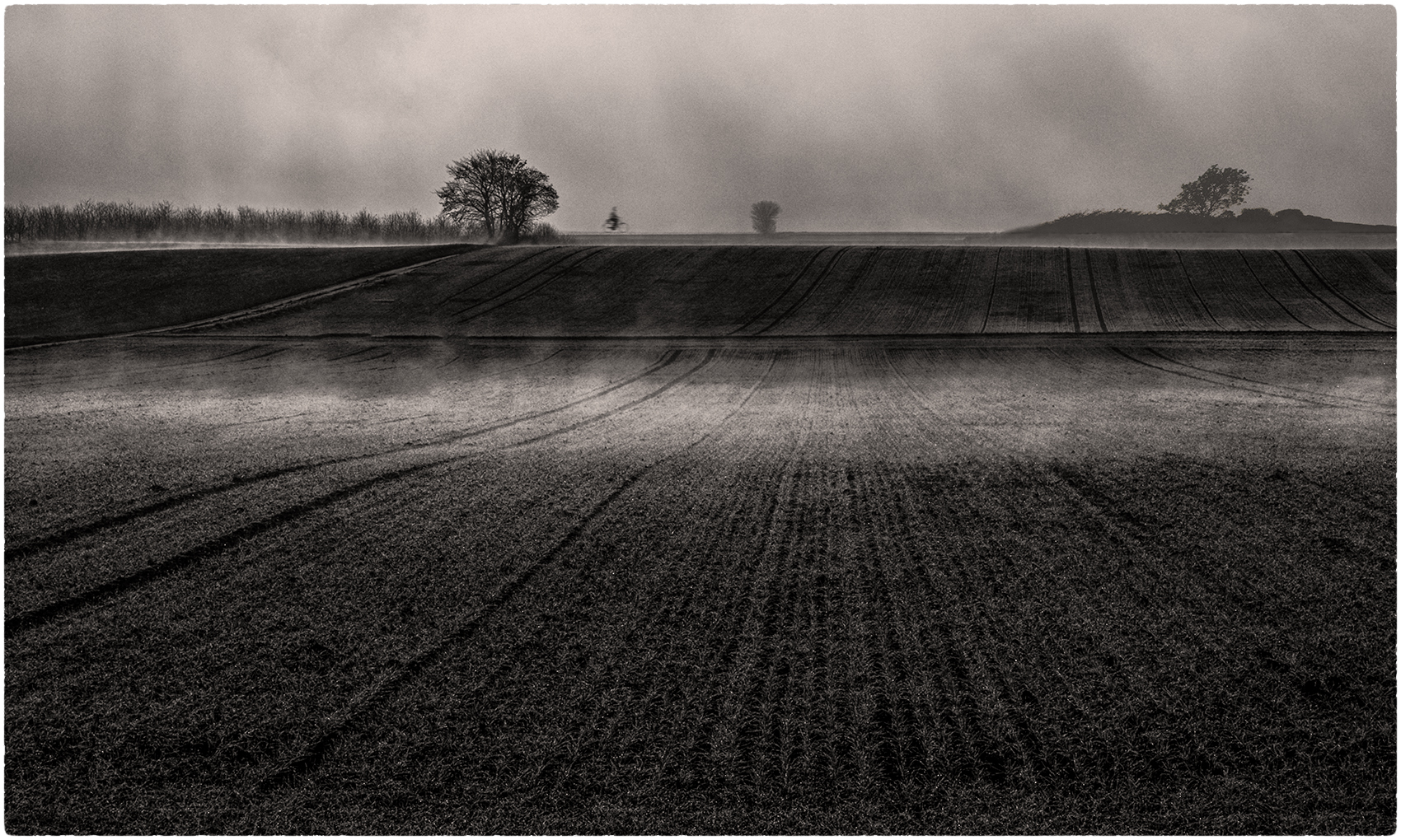 LANDRUHE - Münsterland 