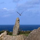 Lands End