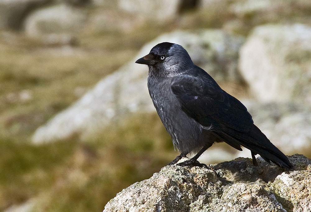 Lands End-9