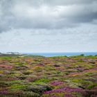 Lands End Cornwall