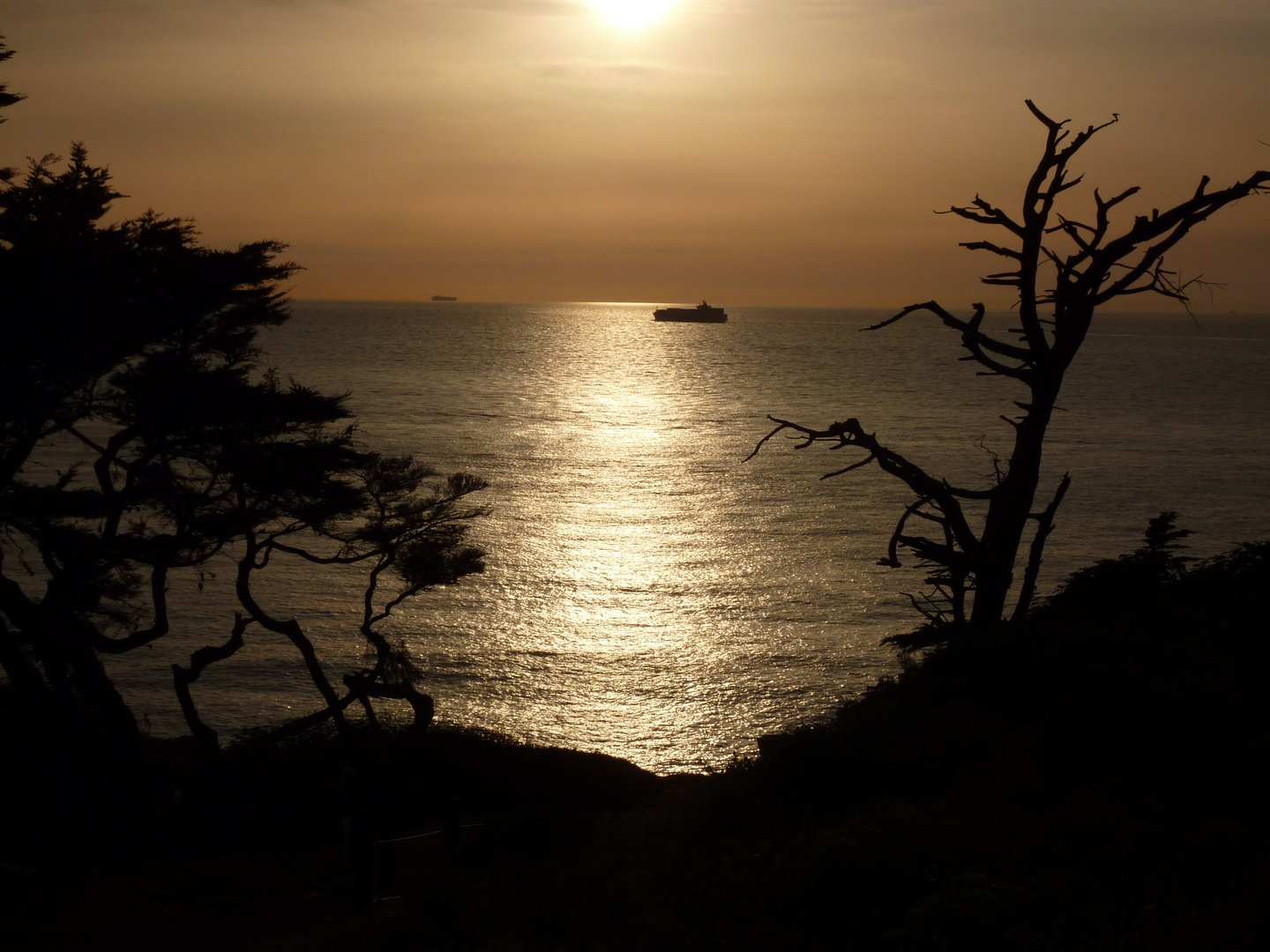 Lands End San Francisco