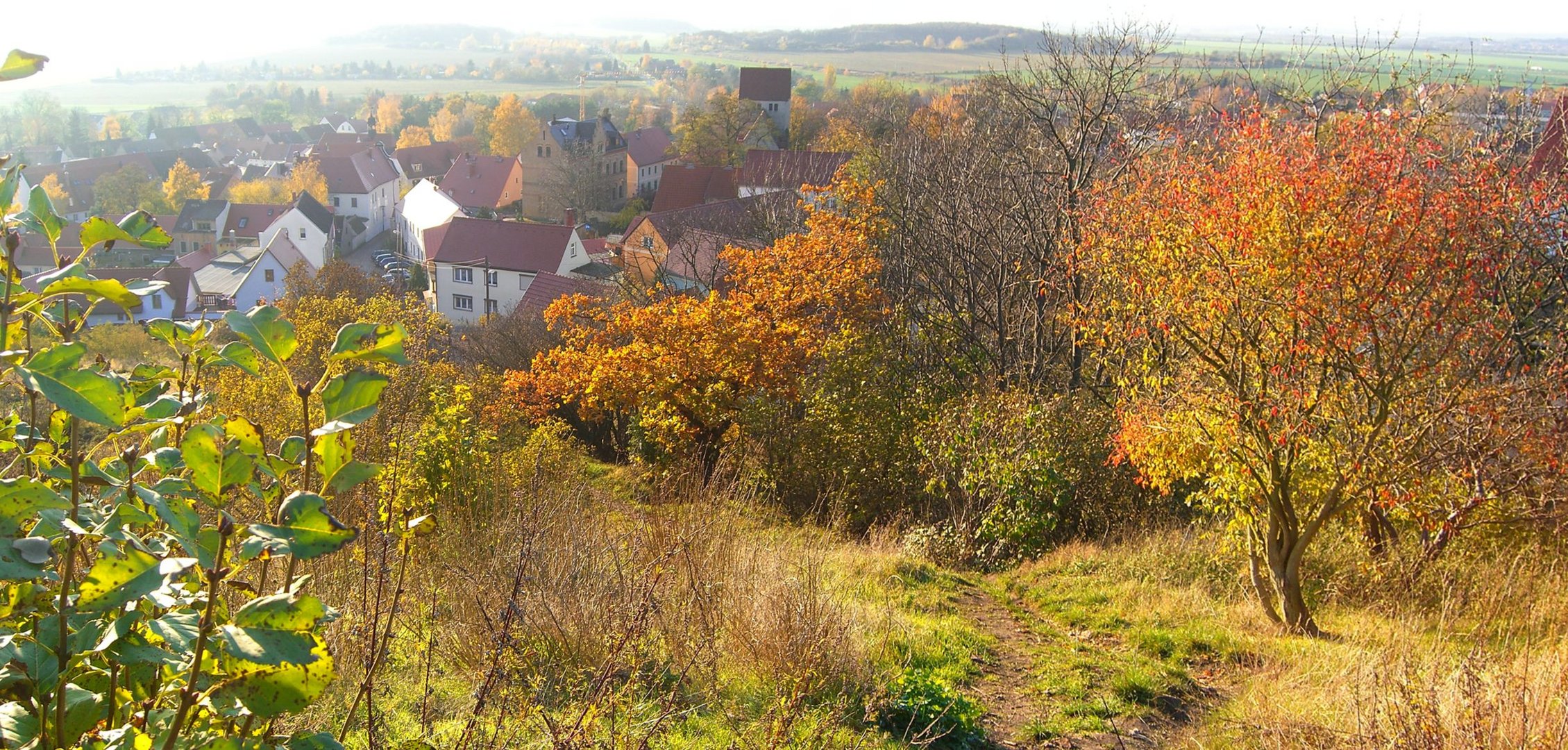 Landsberg (Kappellenberg) im Herbst