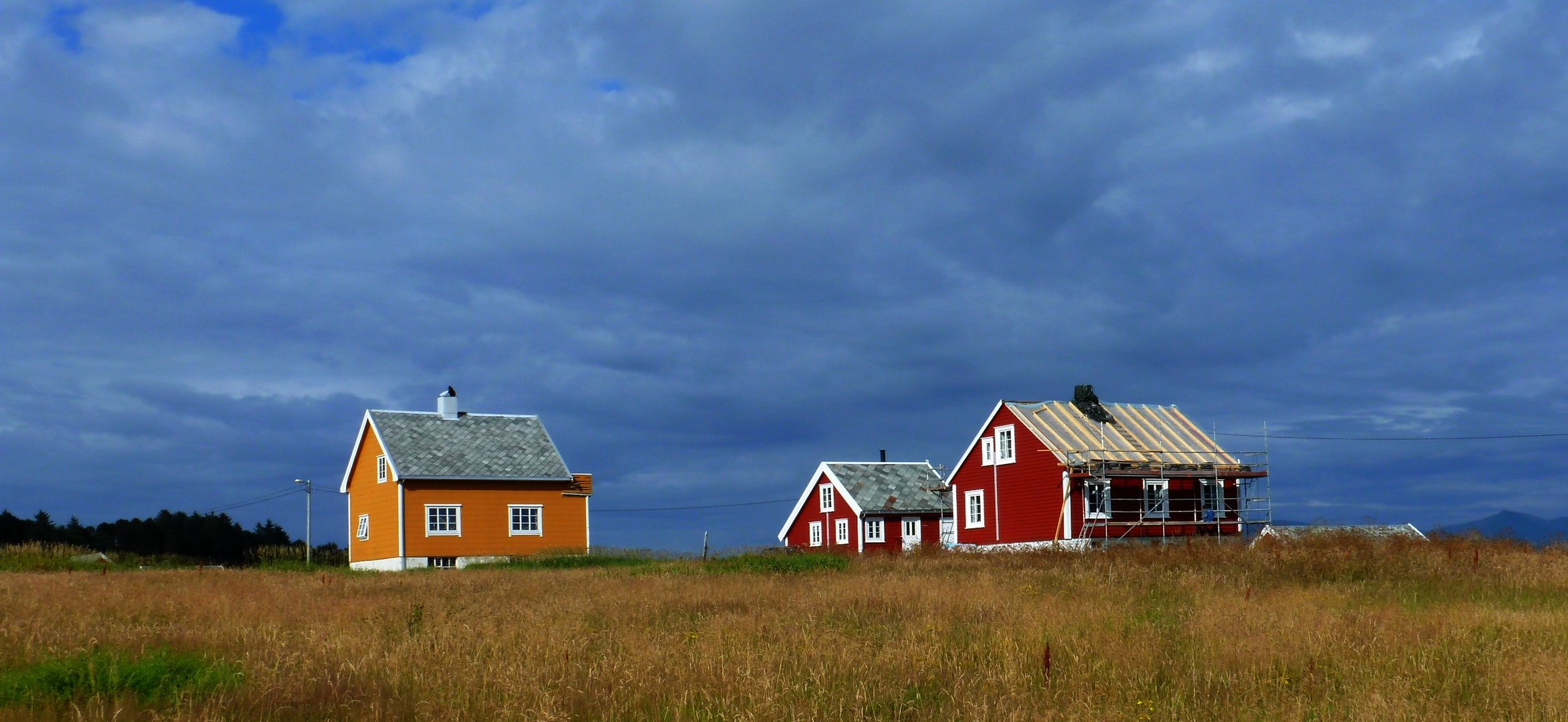 landscape