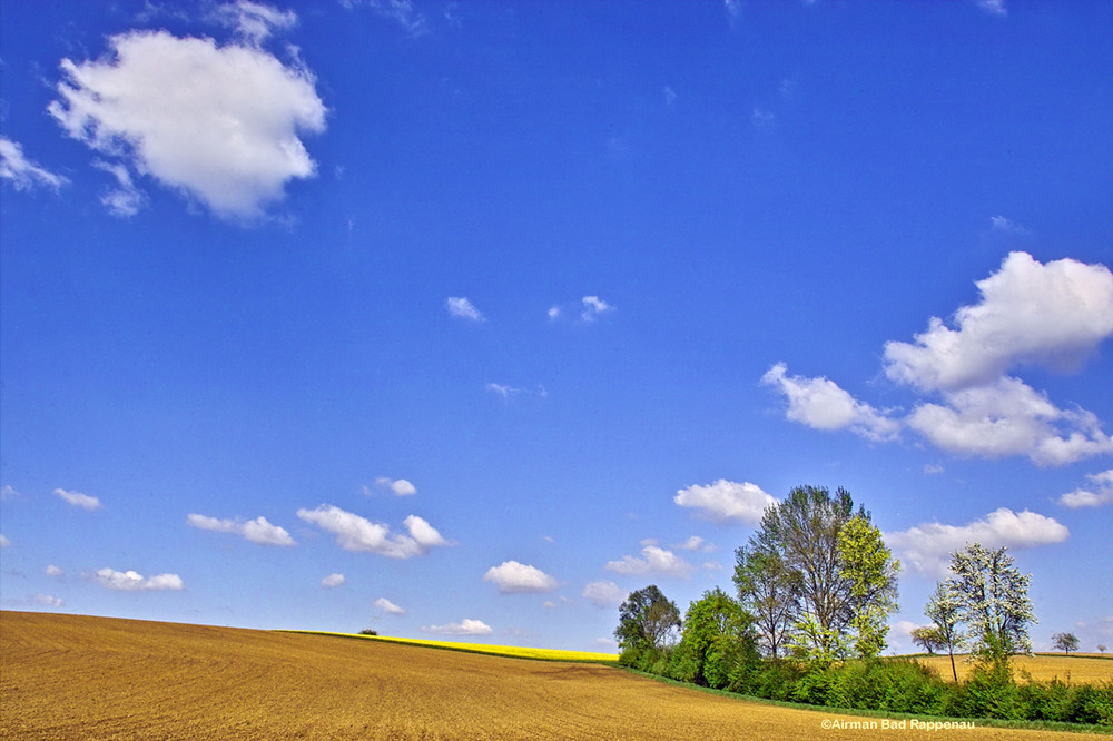 Landscape (1) Der Frühling ist zurück......