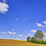 Landscape (1) Der Frühling ist zurück......