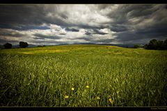 Landscape #2