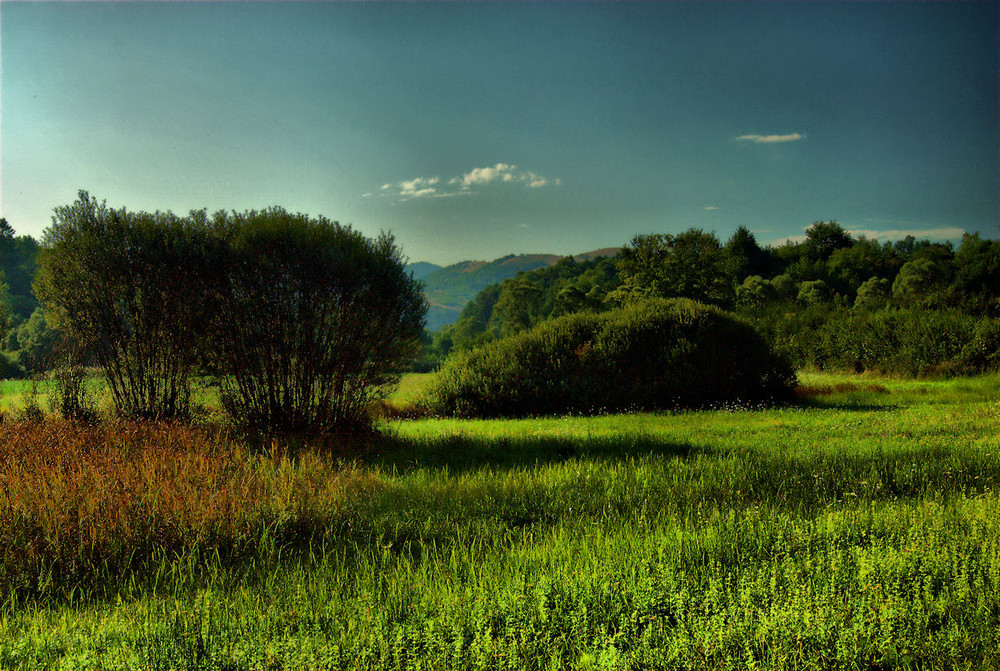 Landscape a Vivaro