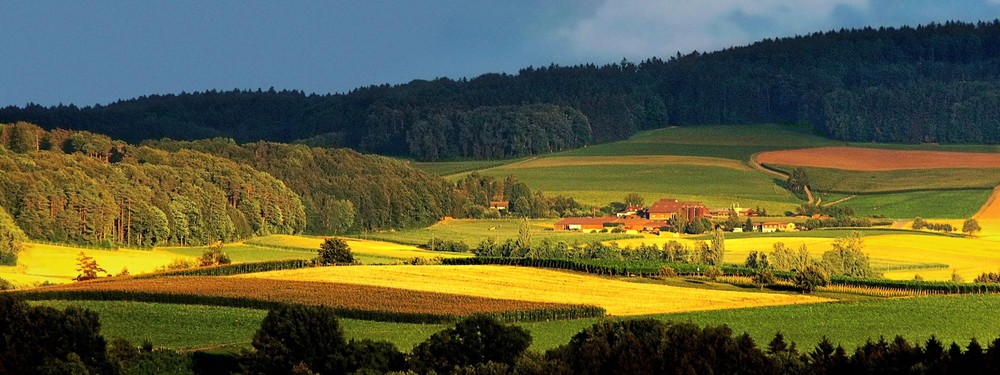 Landscape after Summer Storm/ Landschaft nach einem Sommersturm