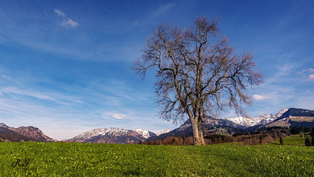 Landscape Allgäu