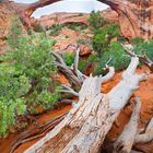 Landscape Arch