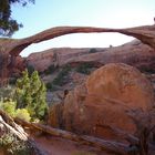 Landscape Arch