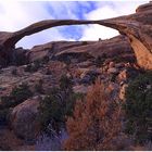 LANDSCAPE ARCH