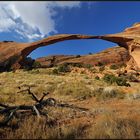 *Landscape Arch*