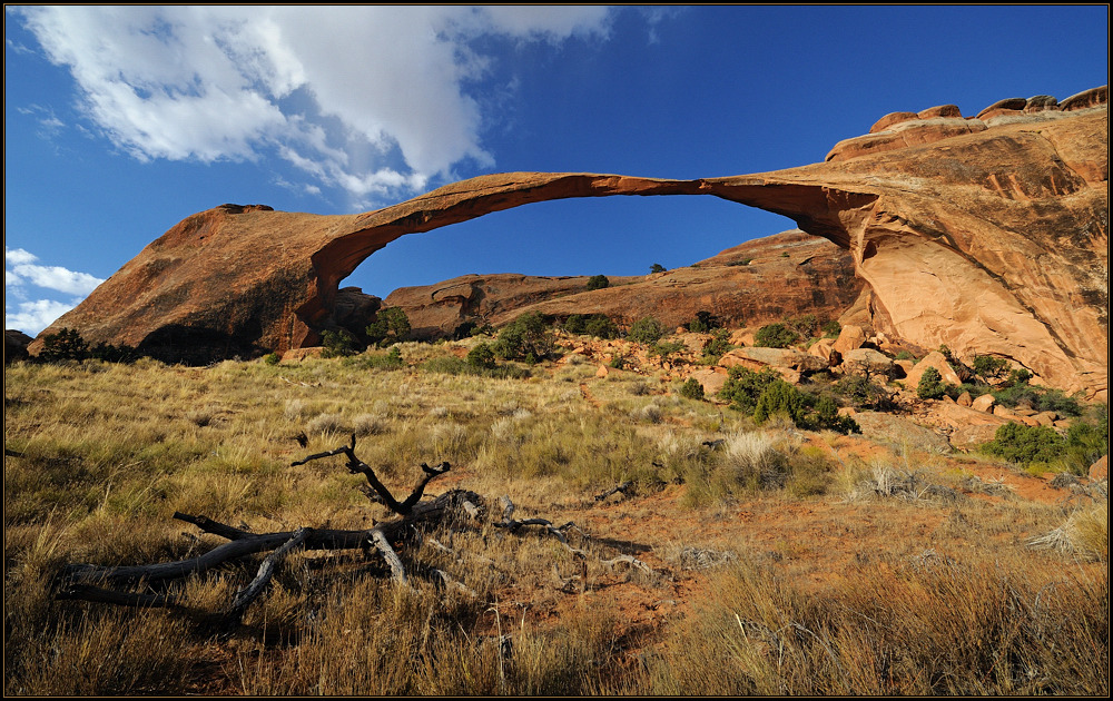 *Landscape Arch*