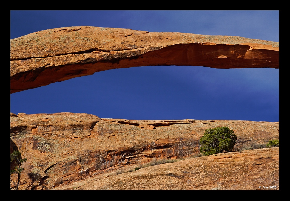 Landscape Arch Detail