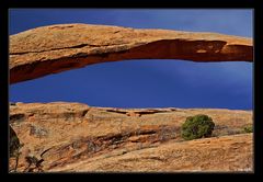 Landscape Arch Detail