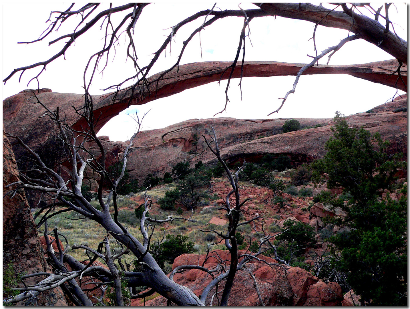 LANDSCAPE Arch