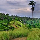 Landscape around Ubud