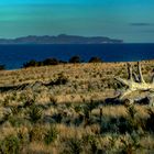 Landscape at the east coast of Tasmania