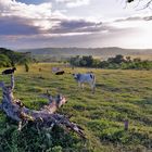 Landscape beside the highway to Santiago de Cuba