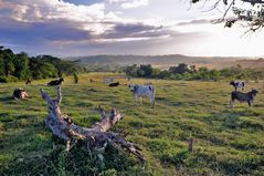 Landscape beside the highway to Santiago de Cuba