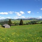 Landscape! Blick zum Säntis