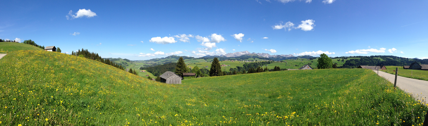 Landscape! Blick zum Säntis