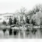 Landscape, Buffalo, N.Y.