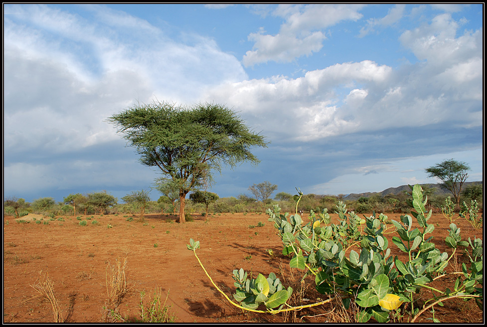 landscape Ethiopia