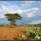 landscape Ethiopia