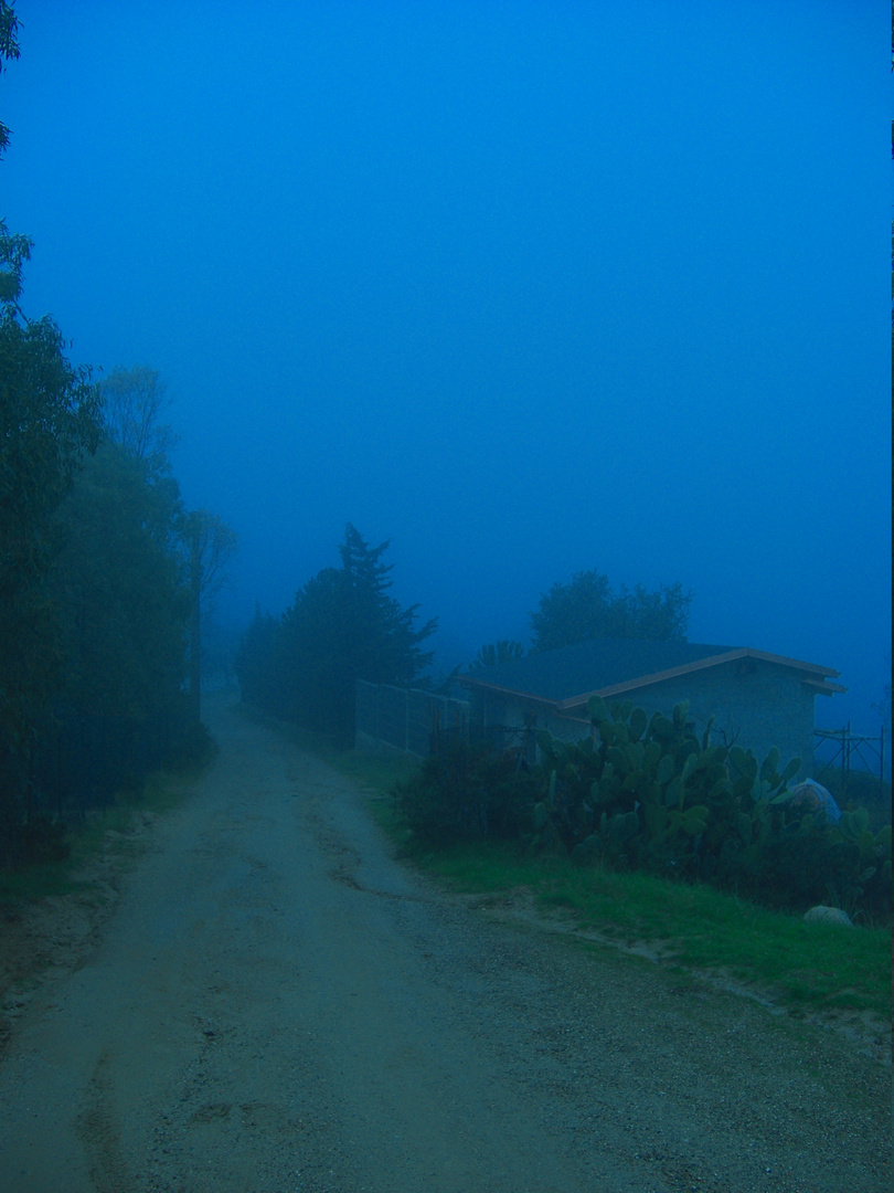 landscape & fog