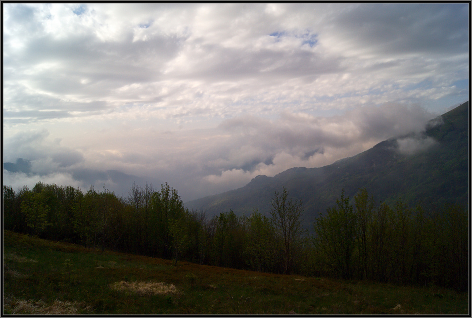 Landscape in a bed day of May