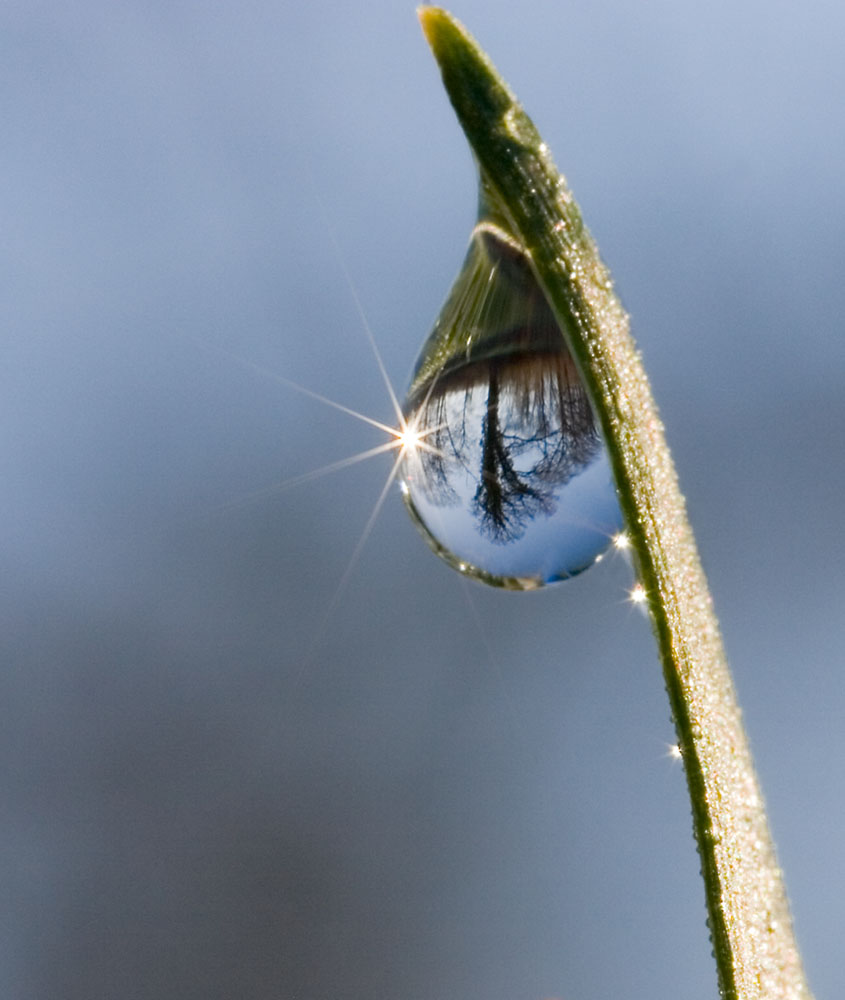 Landscape in a waterdrop