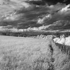 ... landscape in alfdorf, south of germany, infrared ...