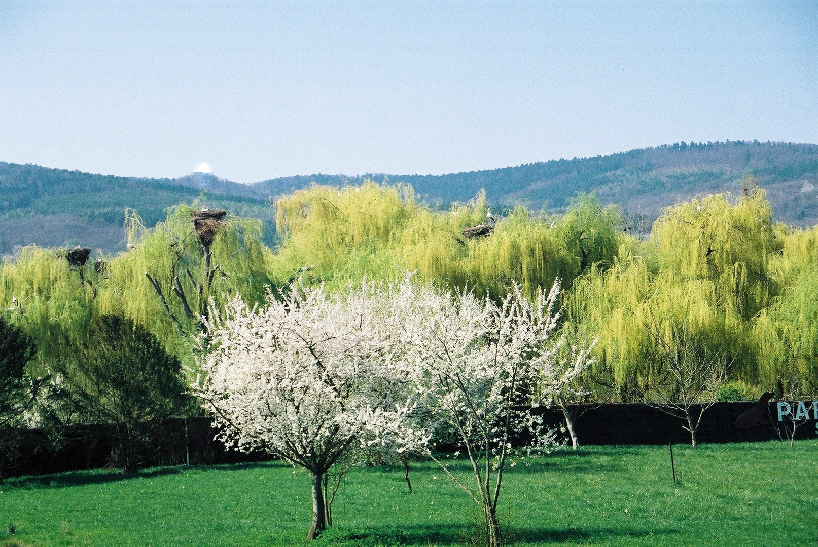 Landscape in Alsace