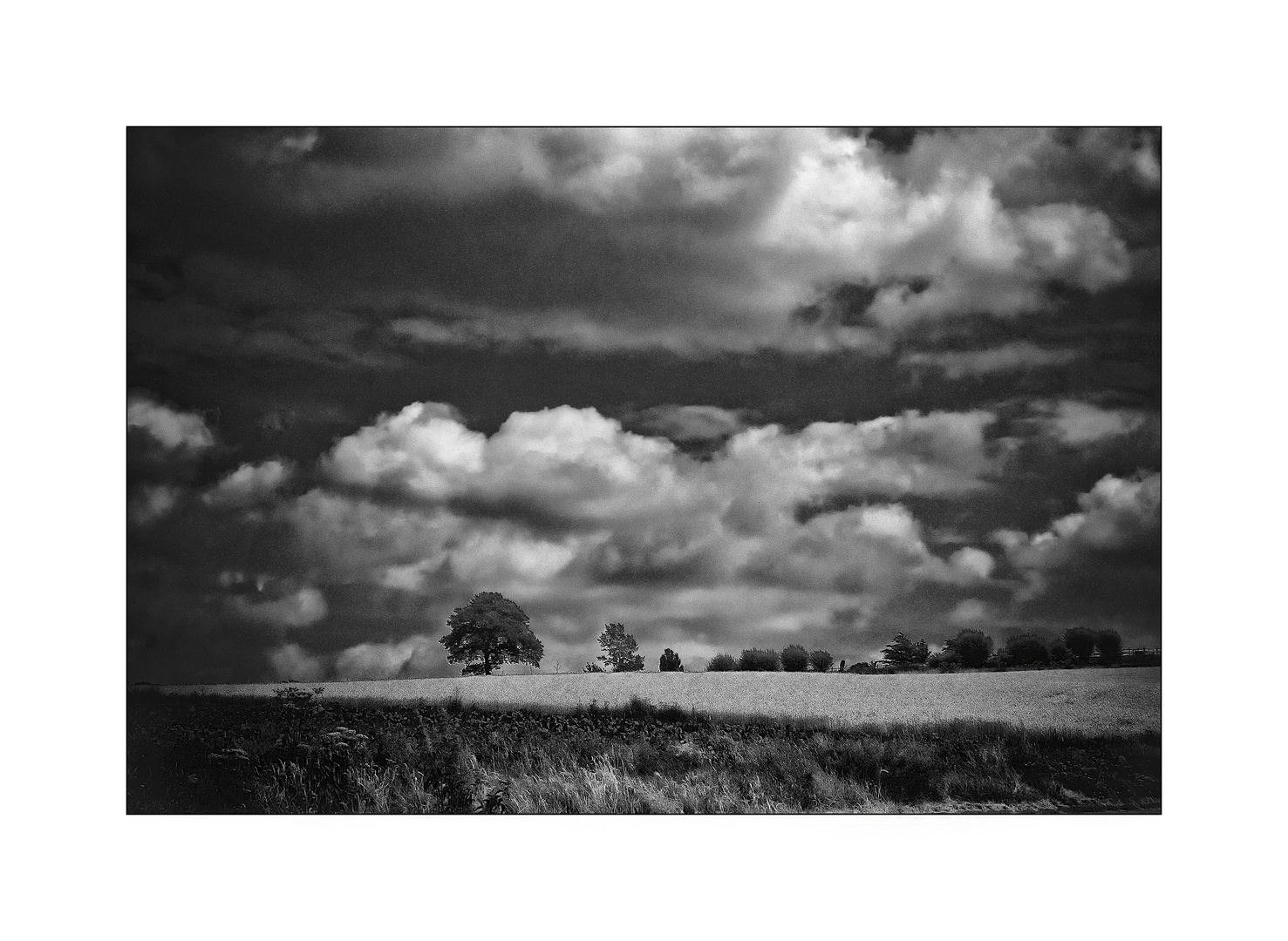 landscape in b&w