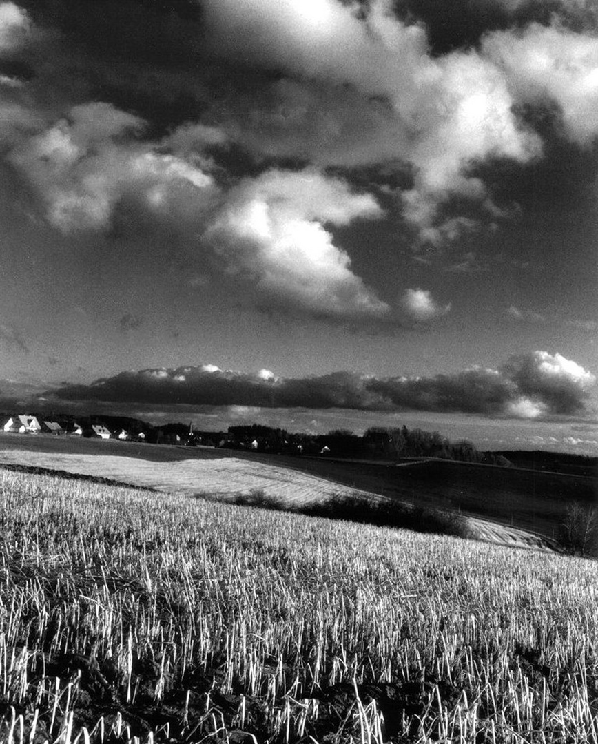 Landscape in bw