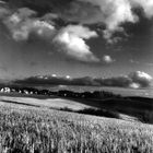 Landscape in bw