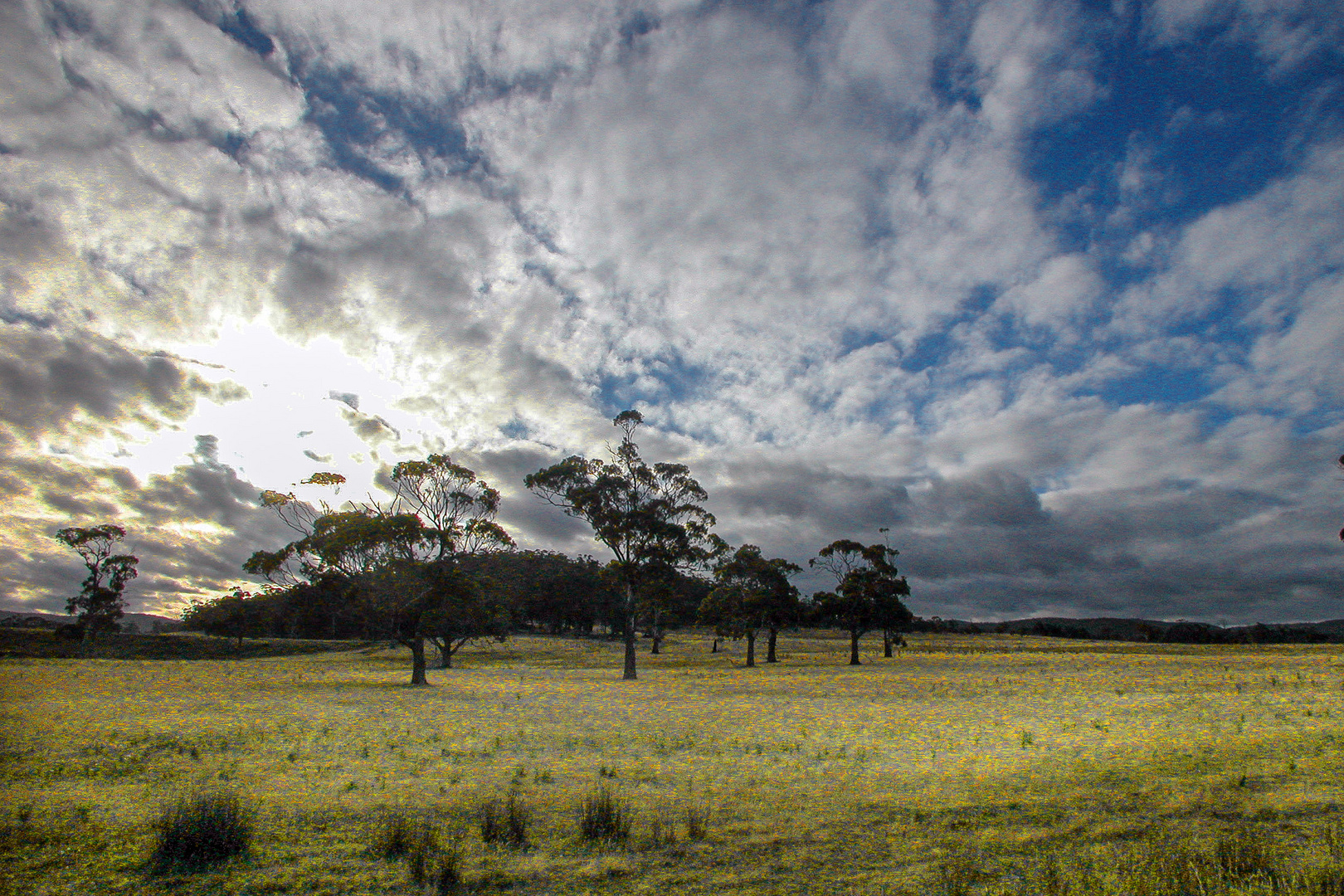 Landscape in eastern Tasmania